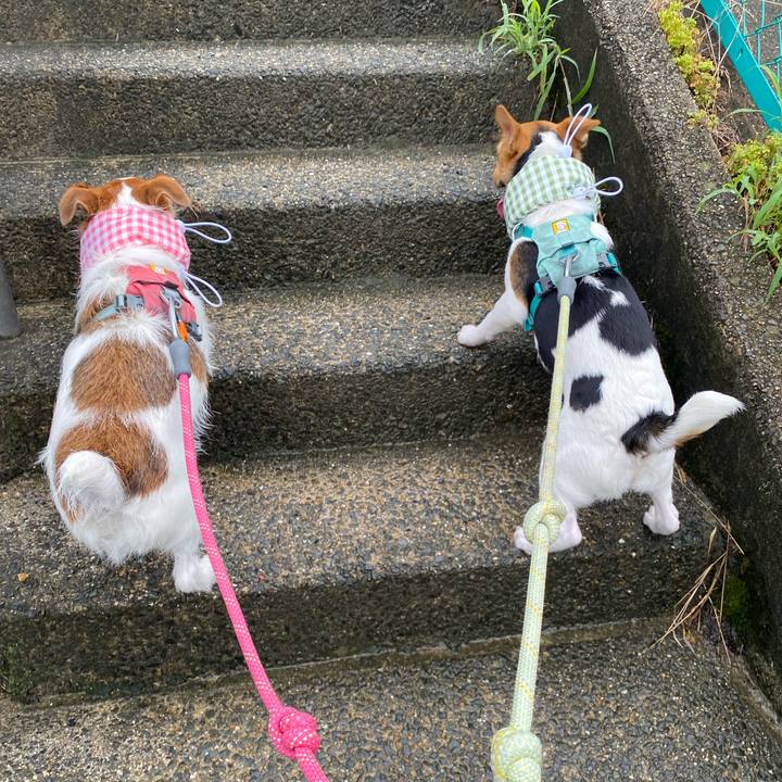 A78cd0e9 7d74 4cb1 81da 1816214d8d7c 1754881311183