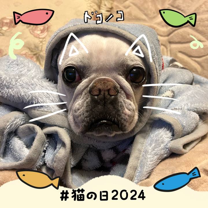 A78cdc02 6272 419d bdeb 56cf5e058885 1708605810887