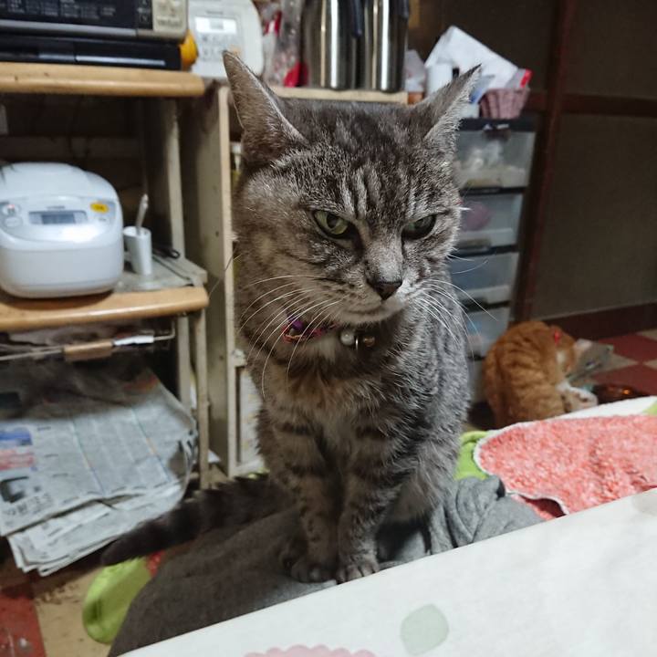 A78cee0b 7350 43fa 987e 4e2a5fec812c 1579813227982