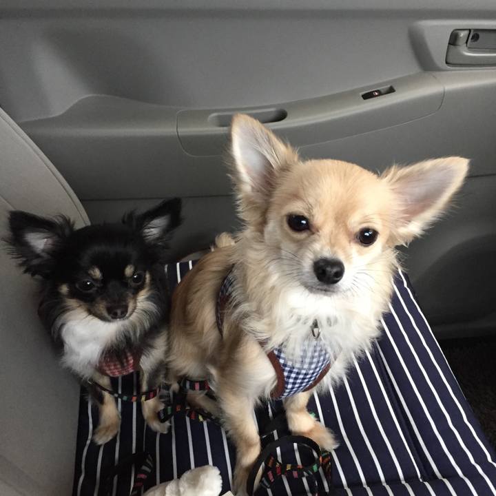 A78cf9db 35f0 463d 9592 02a6f748b9d4 1521630200532