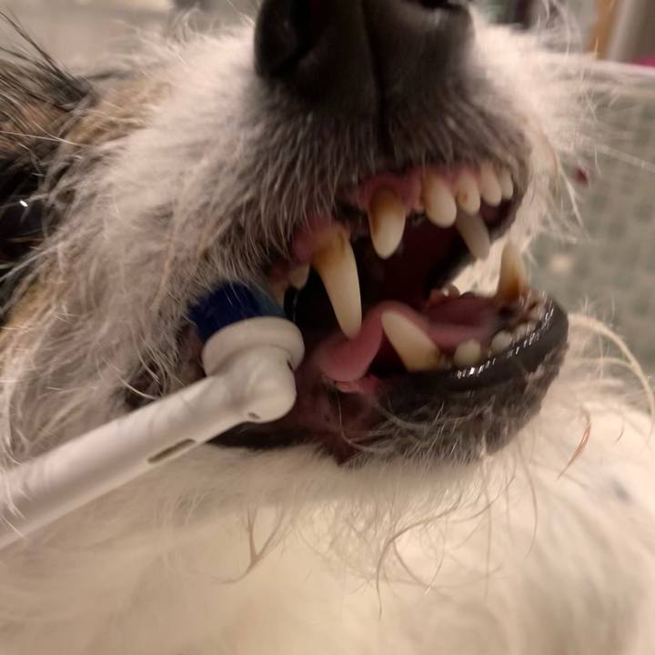 A78d0256 2291 44ba ad84 7aaef14a8492 1680439177140