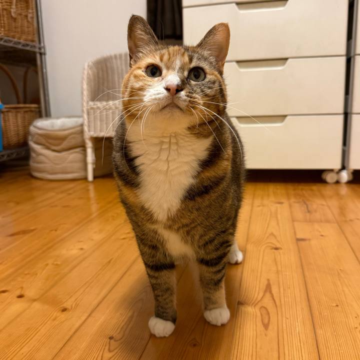 A78d5b36 dfa6 4809 9775 a436ecdc69f7 1769118325111