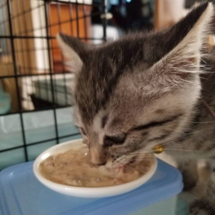 A78d61a3 95fc 4dc8 869c 22314a8bc10c 1662477660659