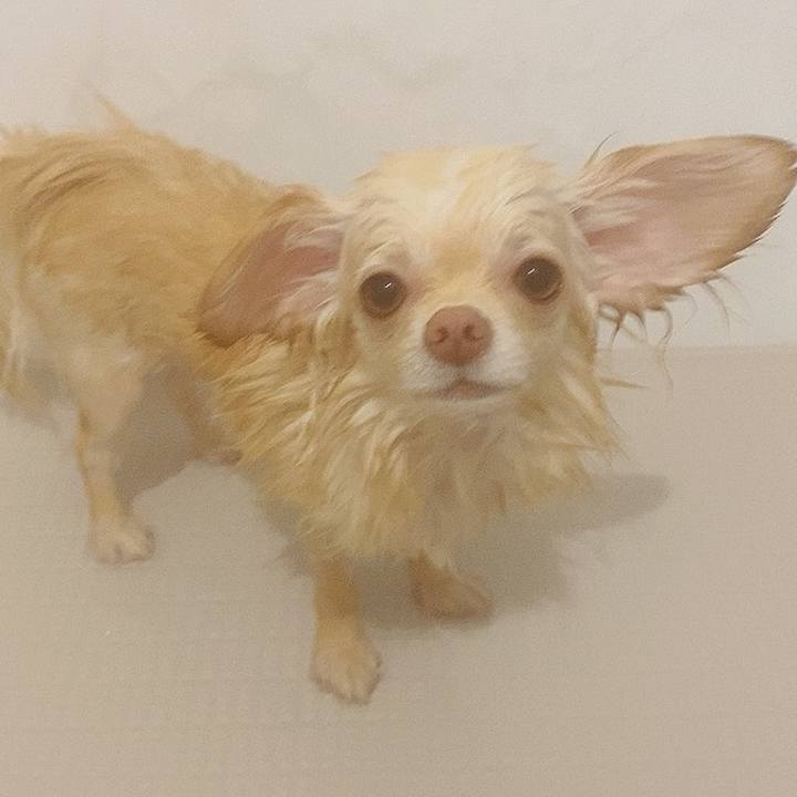 A78d6b55 0844 44c7 9c2b 2123c30c748a 1618298984138