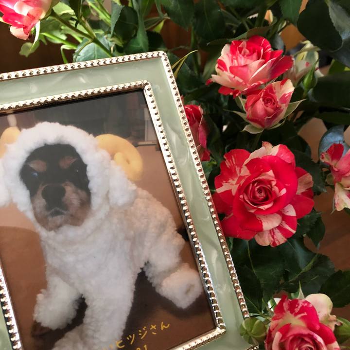 A78d70b1 5b4a 4d23 afd8 023572bf4dc1 1578746605491