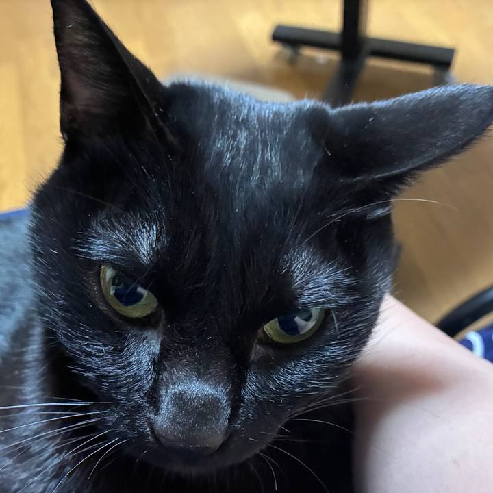 A78da174 314b 49eb 8e2b 8a39b6418997 1761644095188