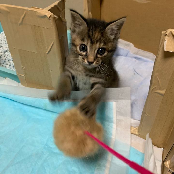 A78da8b7 2d20 4964 b3e6 25c0822d49e6 1557757367671