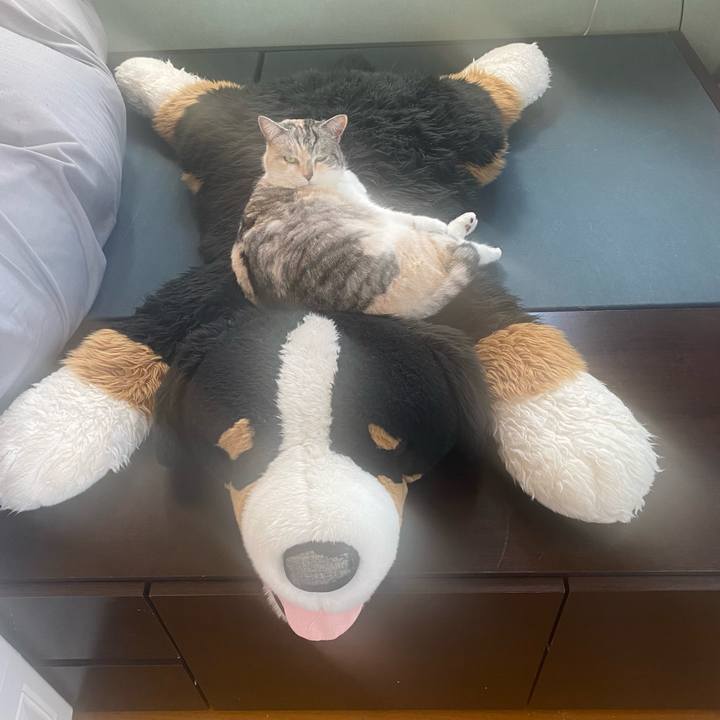 A78dd050 bb86 43a9 a291 7a16ec6c5205 1649387874721