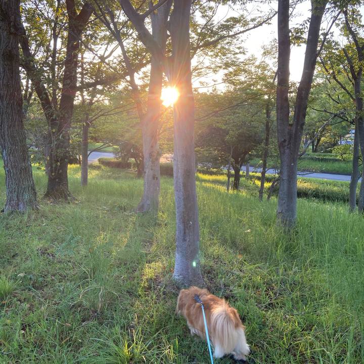 A78e5dcc 8692 4f56 a86d 6a52c34ee544 1599602095928