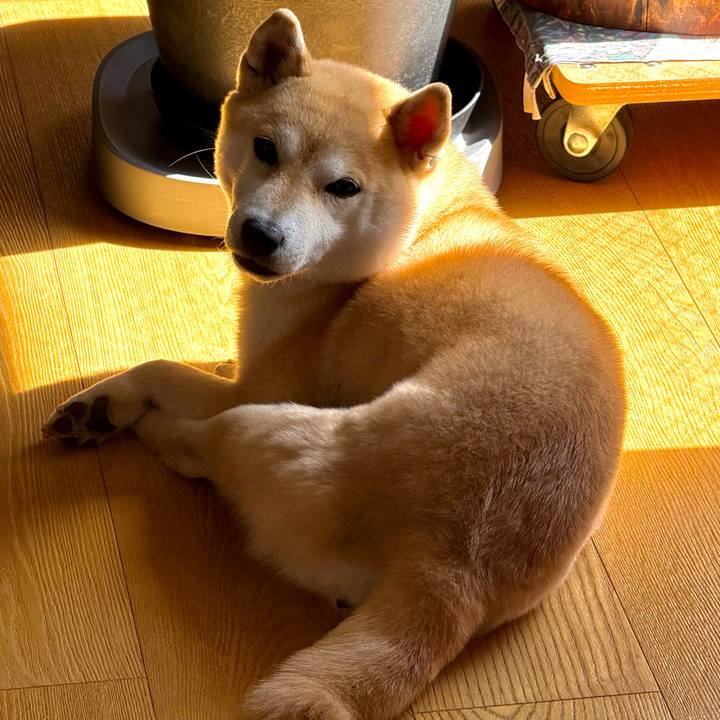 A78e7e1a 14ed 4860 86d9 67d56434b3c1 1772760708973