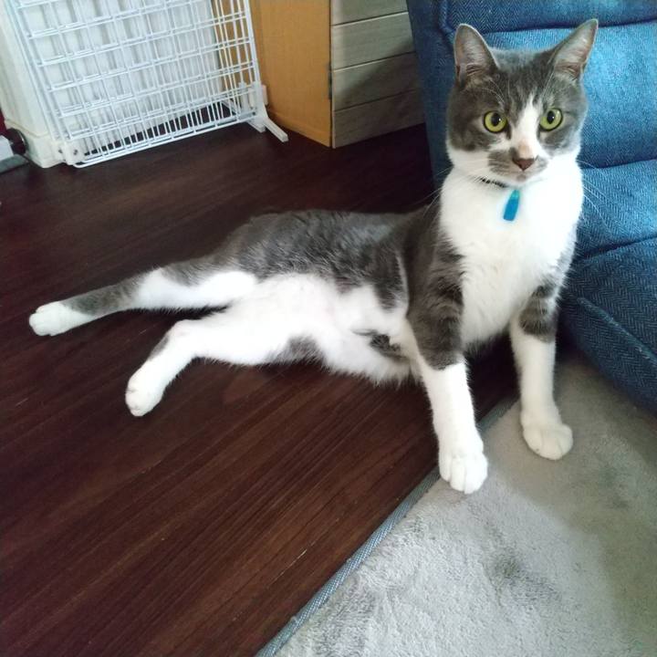 A78e9972 c717 457a af2b c869c2572464 1599696479256