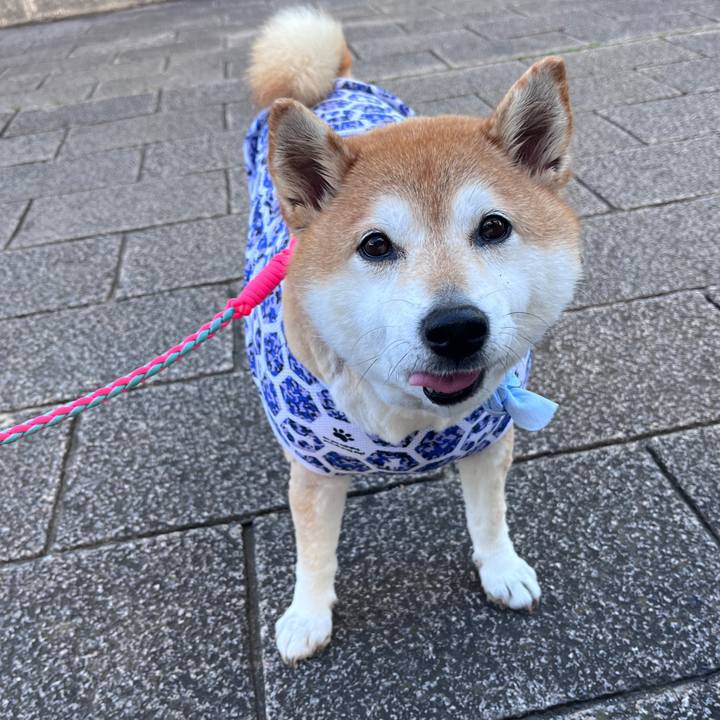 A78ee0c7 9edb 473f 927e 3be19d6c6b4e 1717489959907