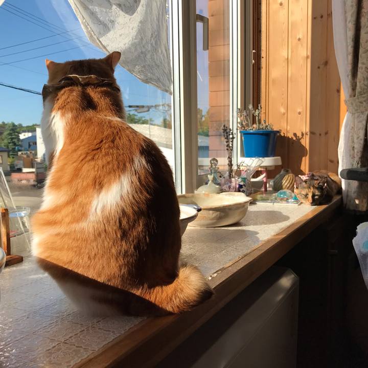 A78ee1dd 9bd8 4db4 9c9c 09e22bb938e2 1624311046124