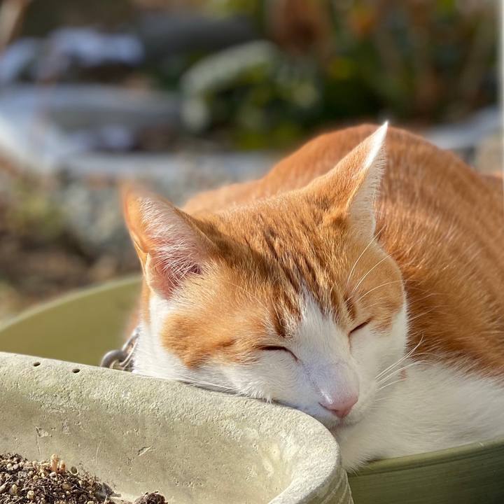 A78ef0c8 e8b9 4141 bc54 b58cefbce4e0 1609650674209