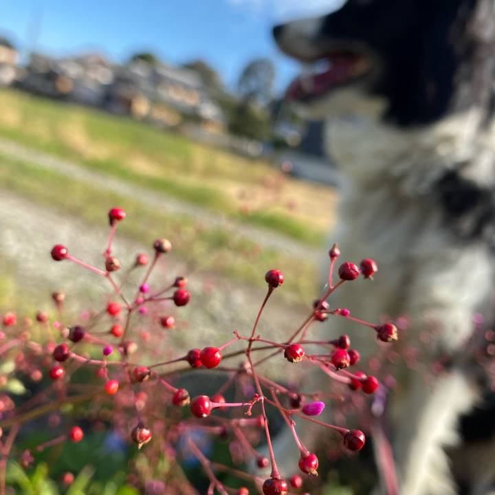 A78f30ec feeb 41bb 9911 220302ed6f6c 1603241144612