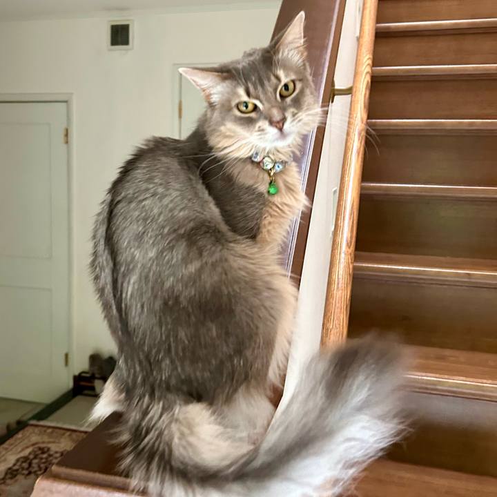 A78f5c60 0687 4bca 9a85 ee8d97a9e7e4 1775133471848