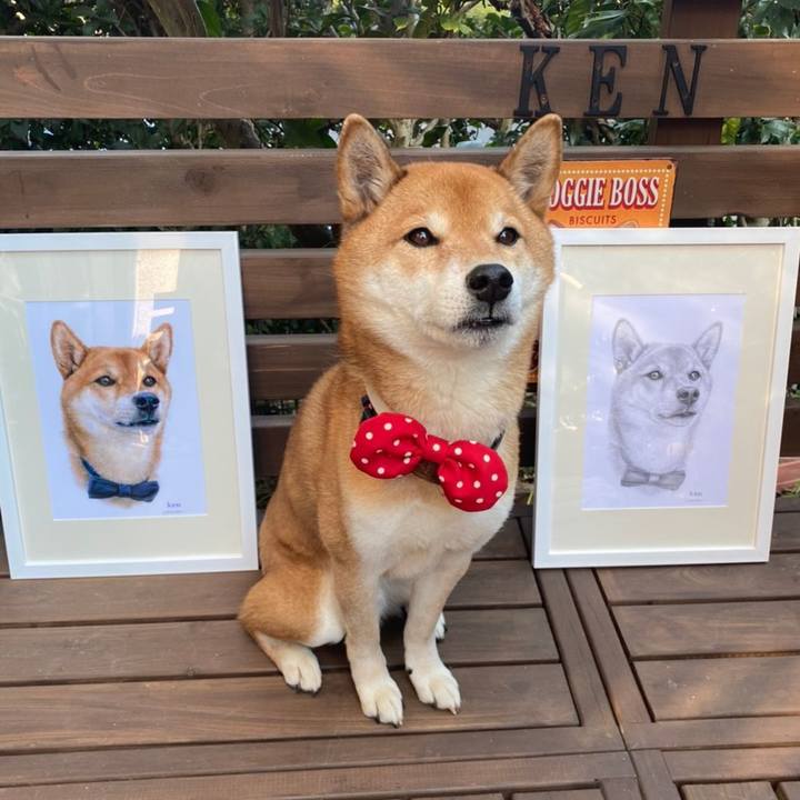 A78f964b c3fb 42fc 94bc 9ac6a1deb5b2 1642676888761