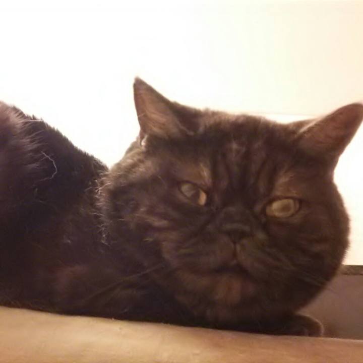 A78f9c49 ee51 42a0 a3e2 45f65591036b 1517734356342