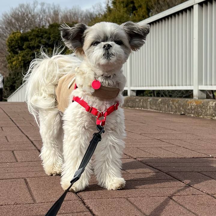 A78f9db3 5bb2 4e84 bf4a 3336902ce539 1642253164134