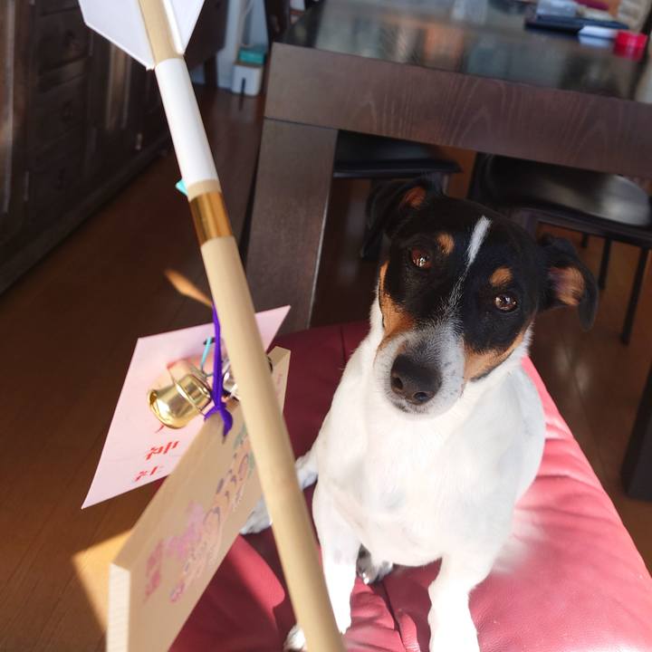 A78fc907 0616 4650 a6f1 9246f5ad6feb 1641007267149