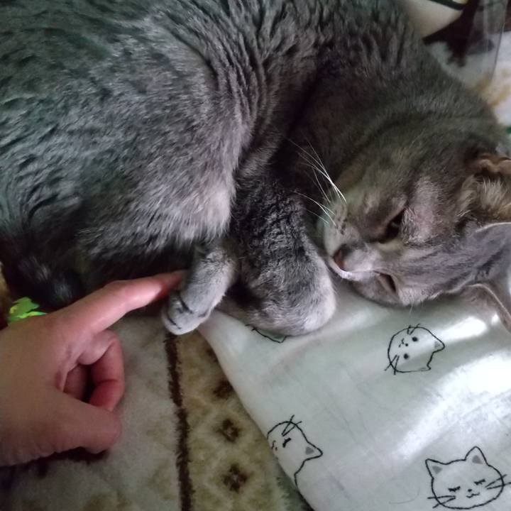 A78fe465 b0bd 4b7e 8dcf 2c4b6e946d81 1675835244442