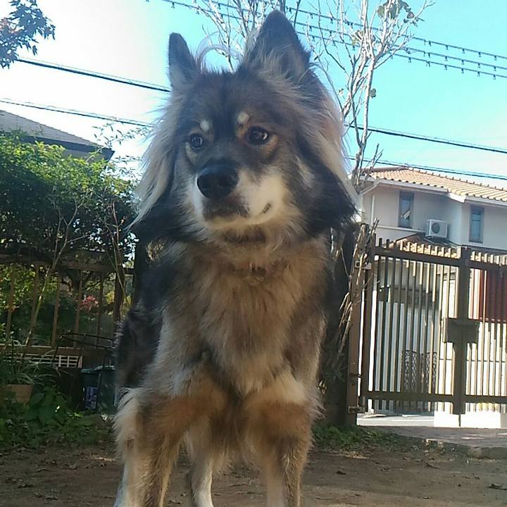 A78ff360 aa72 4014 a3f9 b2a283aefd0b 1513682944051