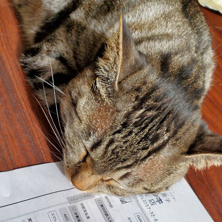 A7901570 82b1 4960 b7f1 a83cce3d8650 1706795380390