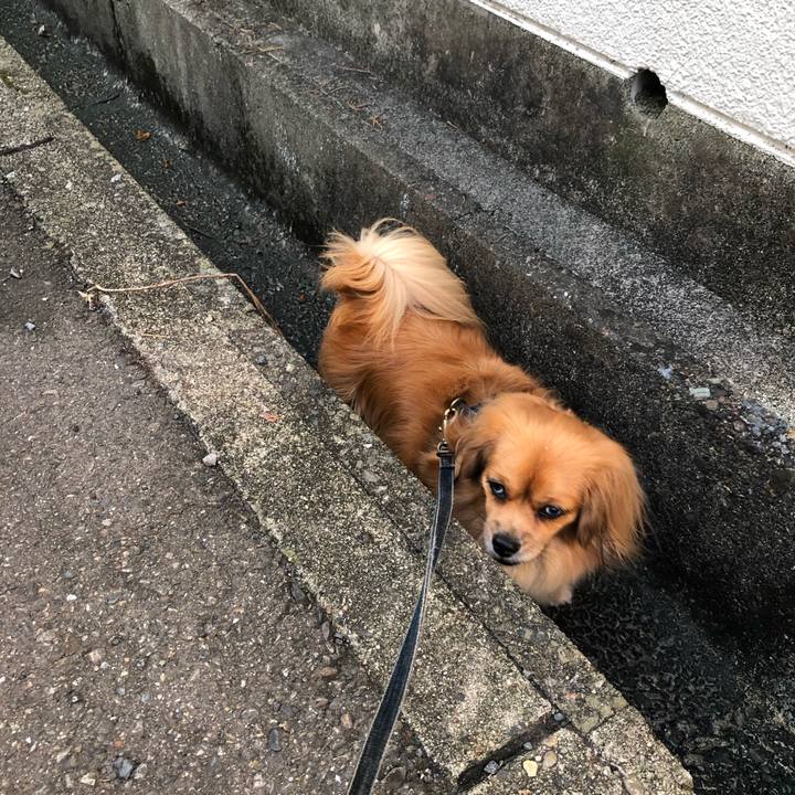 A79029c7 f018 450b 8821 8b9794a4cea8 1568670705283