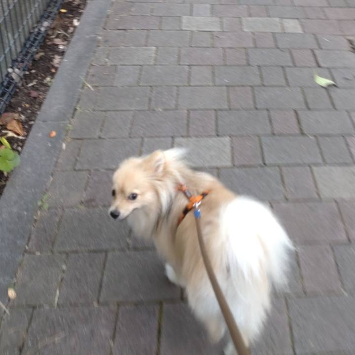 A7902a1c 7f2a 4d46 afff 2da28c4bbeae 1752186864383