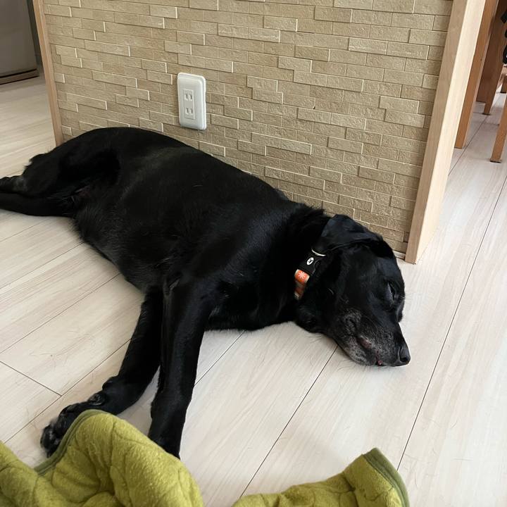 A790339c fbfc 42bb b70f 95a84a20eb29 1754734430815