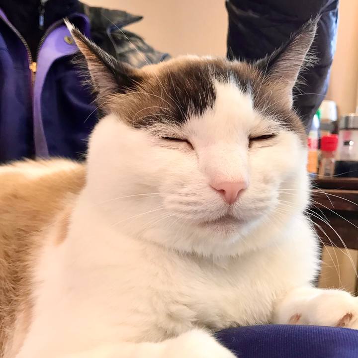 A790381e 21c6 48ac 83e7 d8161d0d186c 1578731202953