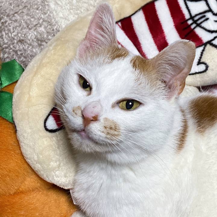 A7905efa 7c9a 4371 9613 f5a69068bc3f 1643723750008