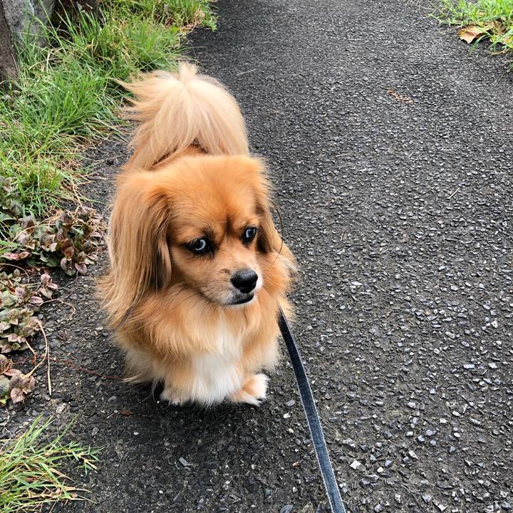 A79069ab 2569 4fa9 af6c f88b599ee45c 1566345869603