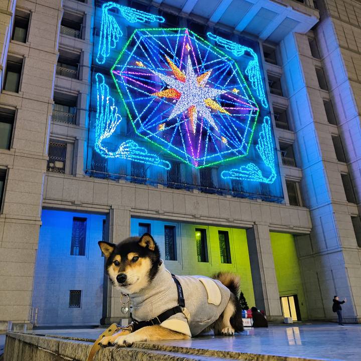 A7907655 3d2a 4e9e b79b 382d59b74ef0 1764430171833