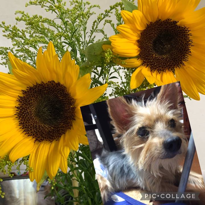 A790ad14 ec57 4a11 956e ac8a05a6c5f1 1660094559753