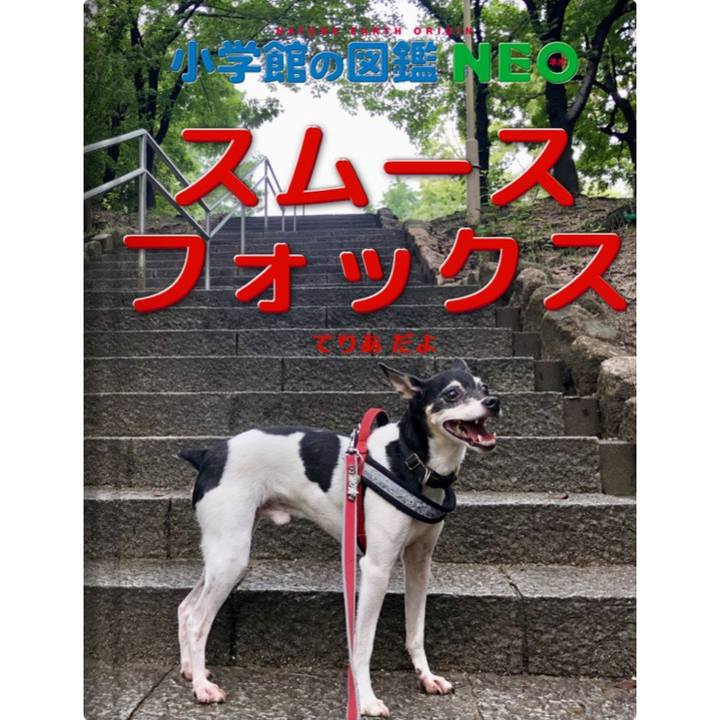 A790af84 1c61 45dd a88b d96a7fb61526 1578099615808