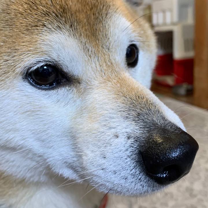 A790d592 8dde 432f a50e 06ddb9099b9f 1586768336913