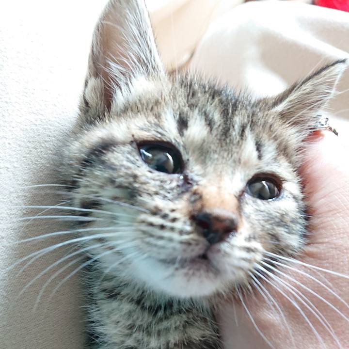 A790f028 e918 490a 962c dbe0953e6188 1558142801571