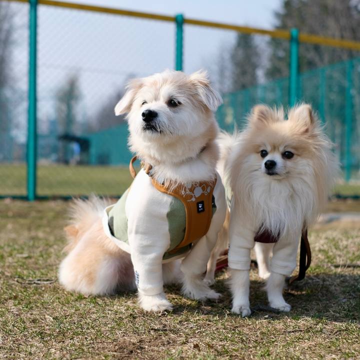 A7911c59 37d2 43fa 8481 52386b7ae7d1 1774766403308