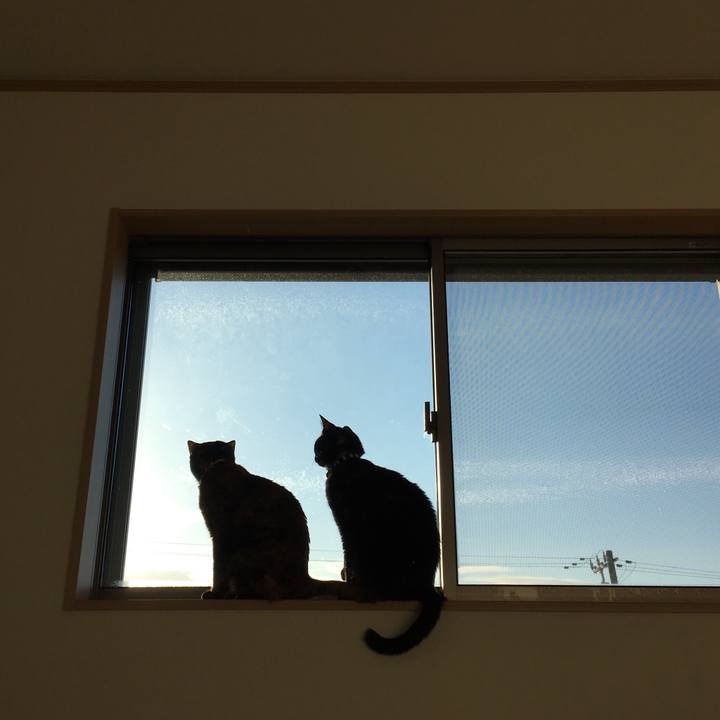 A791392d c510 4c7f 9e4d 26e519fc19b1 1538096724382