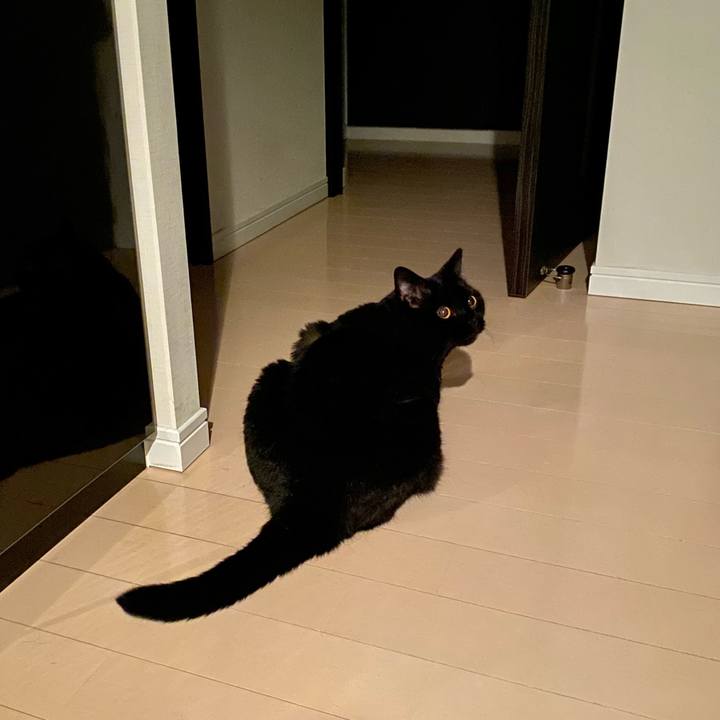 A79150c8 9073 46d4 8ad1 e70703e58165 1687351346447