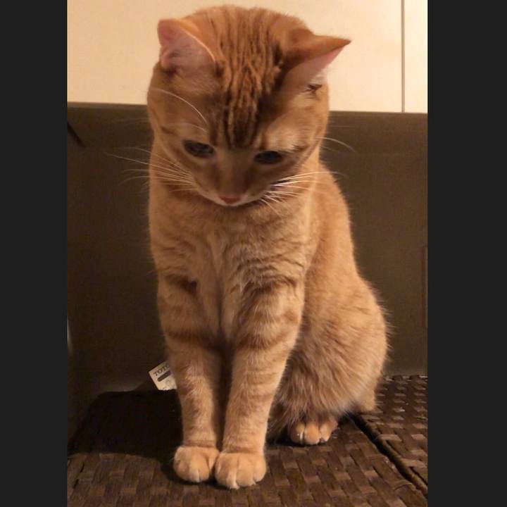 A7915c68 f77d 493d ad1f 28a45793142c 1512733840437