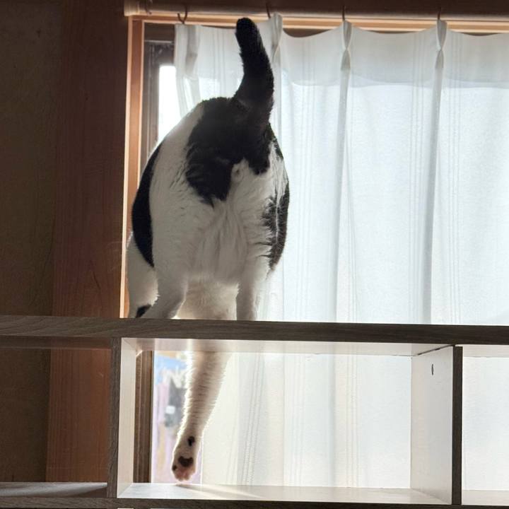 A7915c85 c0e4 49b1 bca5 d3e747418538 1769392791057