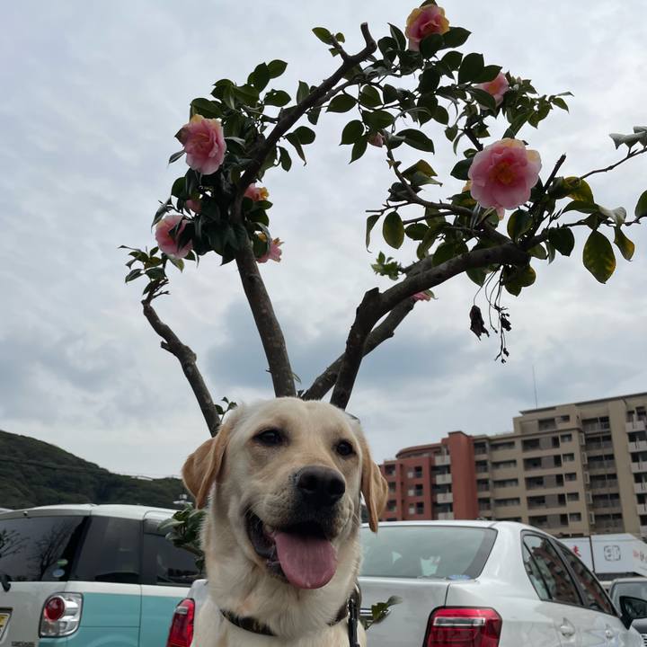 A791ba1e 8f6d 4925 8c7c 12c4ffd32244 1647856997677