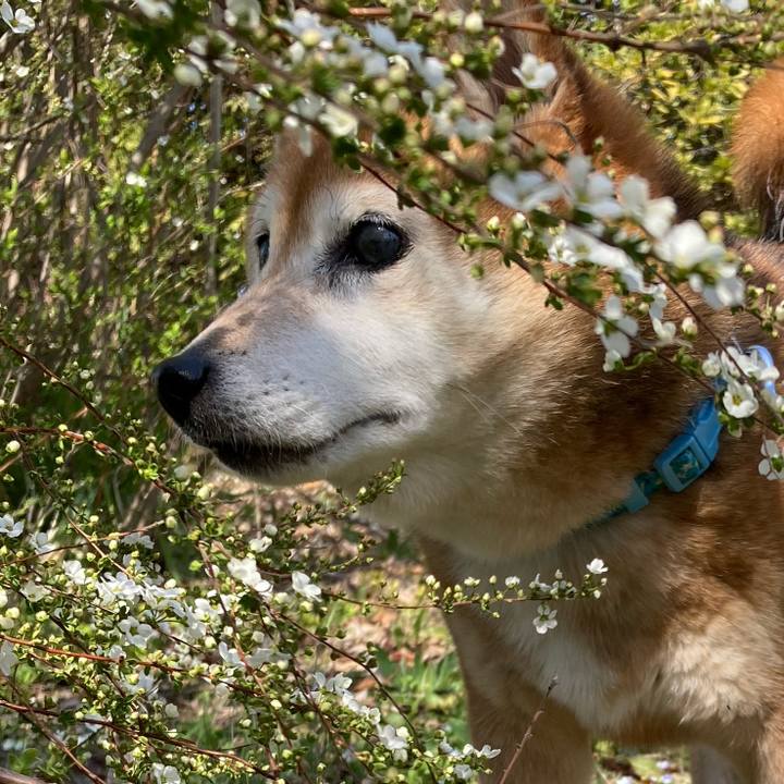 A791bf49 7387 42f8 89c9 6e3b78e78f33 1710568053011