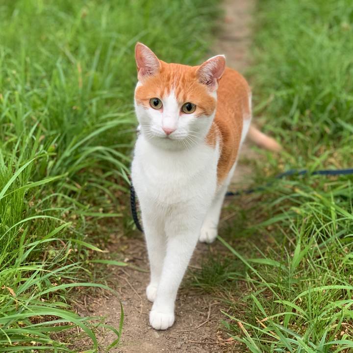 A7920bbb e0b0 40ef a954 c674796c76eb 1565641032645