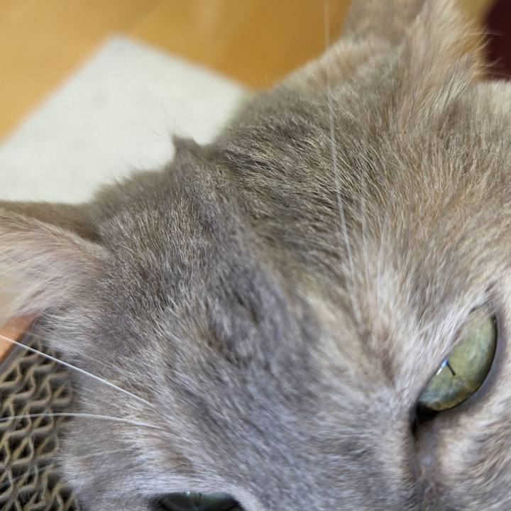 A792866a b800 41b2 8422 8580bac8bc7c 1695959567134