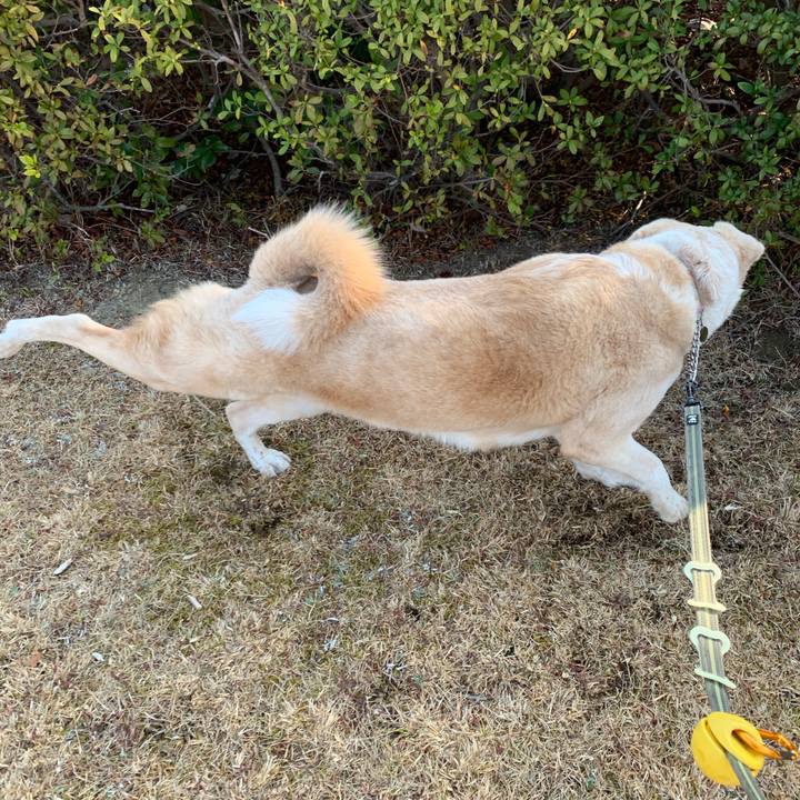 A7929da6 4808 46e4 8296 62fa96fbcb93 1551009423658