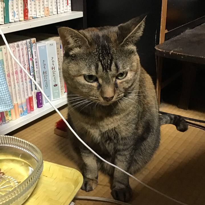 A792fef0 b6be 4577 b96f 3bf665cbe60c 1733389851951