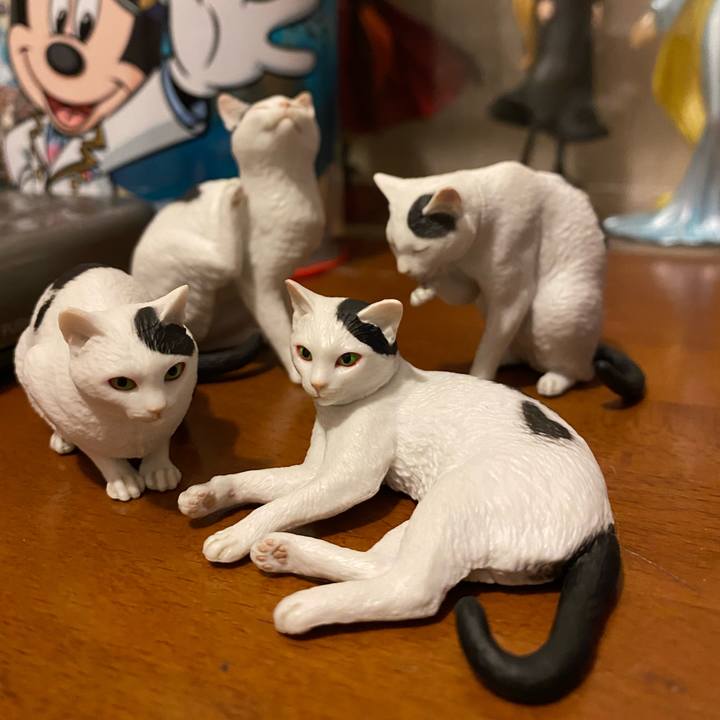 A7934f09 e468 4441 ab24 f3d21a783e99 1593513910175